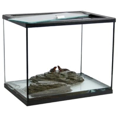 Ozami Helglass terrarier, toppbetjent 40x28x35 cm