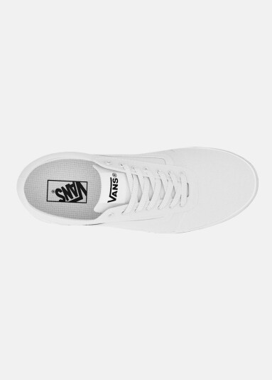 Vans MN Ward