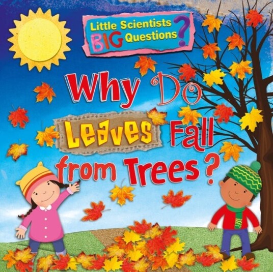 Why Do Leaves Fall From Trees? Av Ruth Owen
