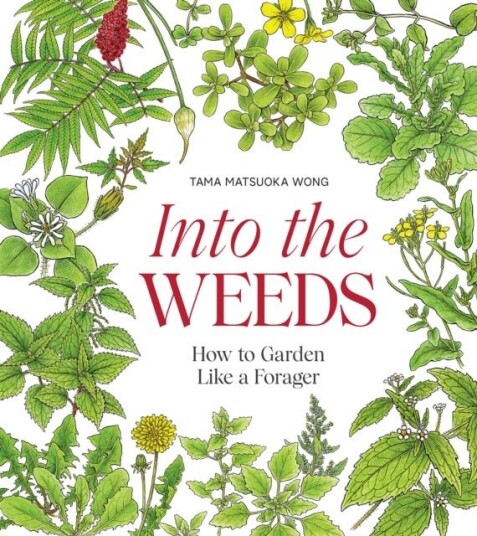 Into the Weeds Into the Weeds