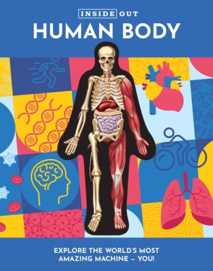 Inside Out Human Body Inside Out Human Body