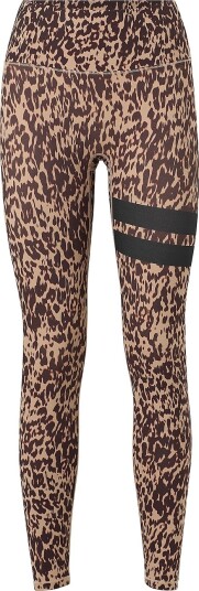 STRONGER The Signature One Leggings   Brown   L