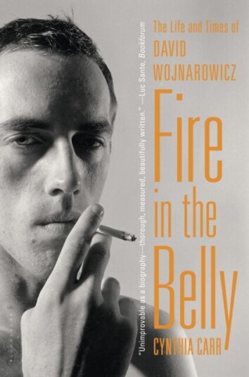 Fire In The Belly Av Cynthia Carr