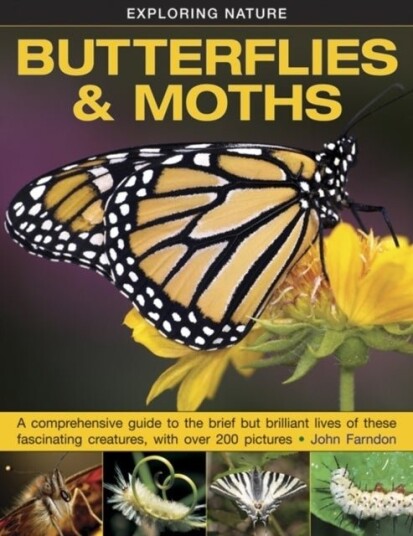 Exploring Nature: Butterflies & Moths Exploring Nature: Butterflies & Moths