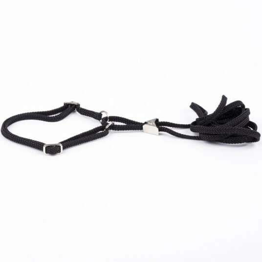 Show Dog Show Lead Flat Halvstrup Med Klips Svart (5 Mm X 120 cm)