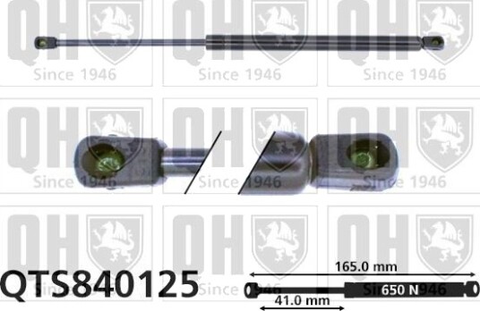 QUINTON HAZELL QTS840125 Baklukedemper