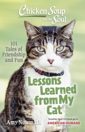 Chicken Soup for the Soul: Lessons Learned from My Cat av Amy Newmark