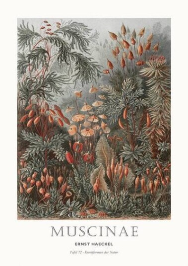 Malerifabrikken Poster Tafel 72 1668773-03-93 1642143-01-118