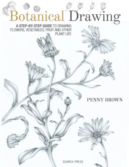 Botanical Drawing Av Penny Brown