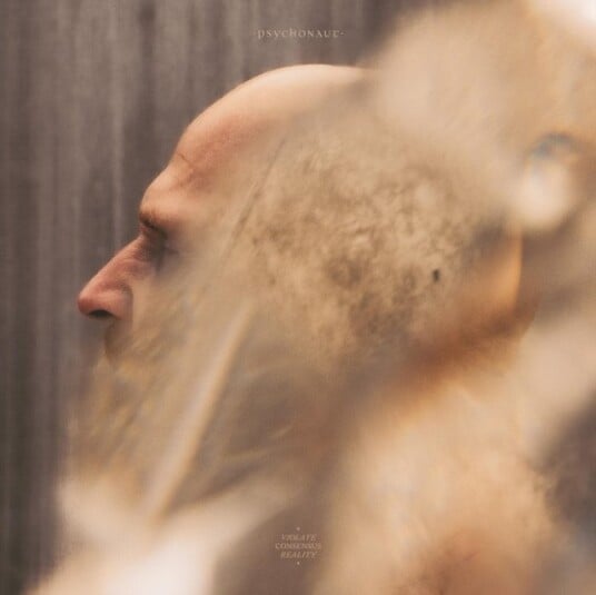 Psychonaut Violate Consensus Reality CD