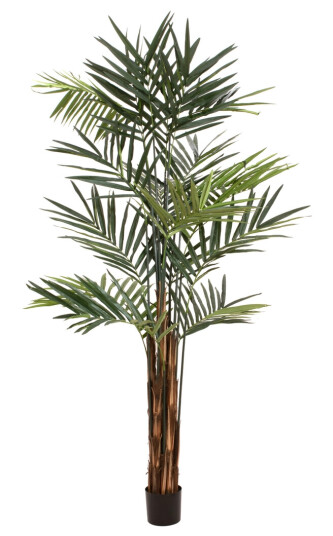 Europalms Kentia-Palme, Kunstig Plante, 300 Cm (82511369)