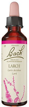 Bach Originale Blomsterremedier Dråper Europeisk Lerk Bach Originale Blomsterremedier Dråper Europeisk Lerk