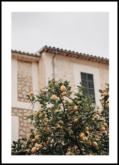 Lemons Plakat Plakat / 21x30cm