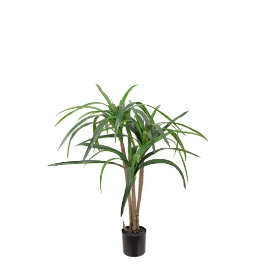 Mr Plant Dracena Palm 240 cm Mr Plant Dracena Palm 240 cm