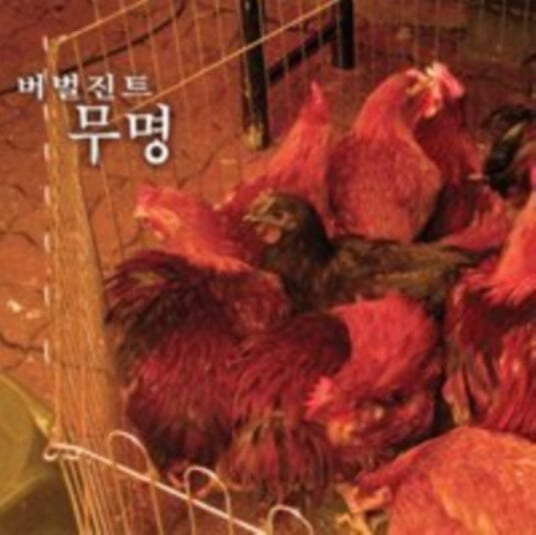 Verbal Jint Unknown CD