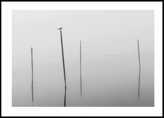 Misty Reflections in Black and White Plakat Plakat / 40x50cm