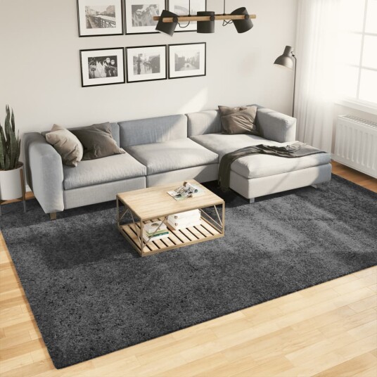  Teppe OVIEDO kort luv antrasitt 240x340 cm 8721012230767