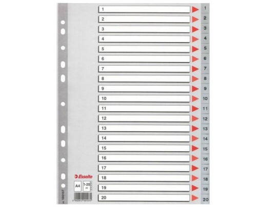 Register Esselte Pp A4 1 20 Grå  10 Sæt