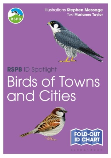 RSPB ID Spotlight   Birds of Towns and Cities