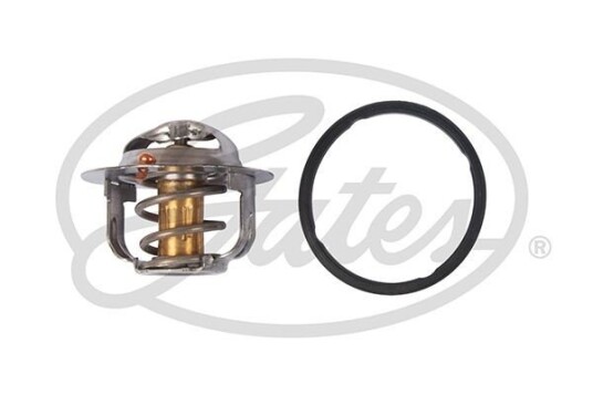 Termostat GATES TH52488G1