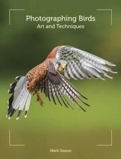 Photographing Birds Av Mark Sisson