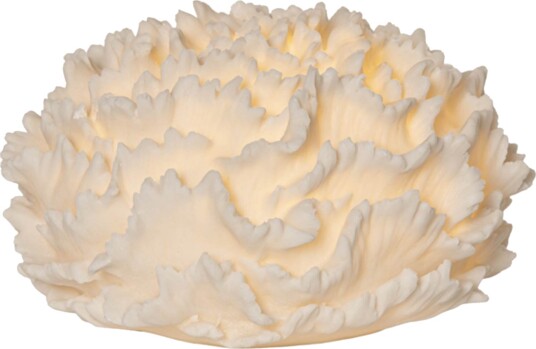 Star Trading Utomhusdekoration Sandy Coral 857 57