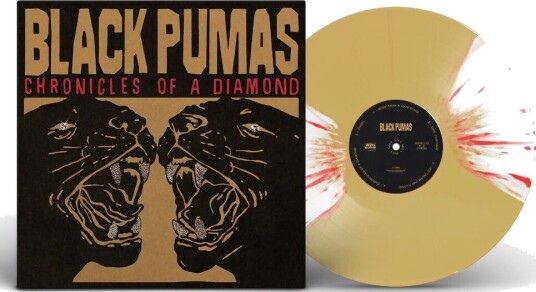Chronicles Of A Diamond Vinyl