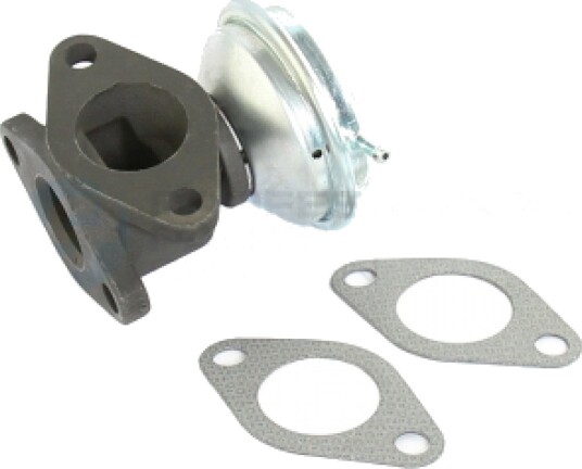 EGR Ventil Professional Parts 87430973