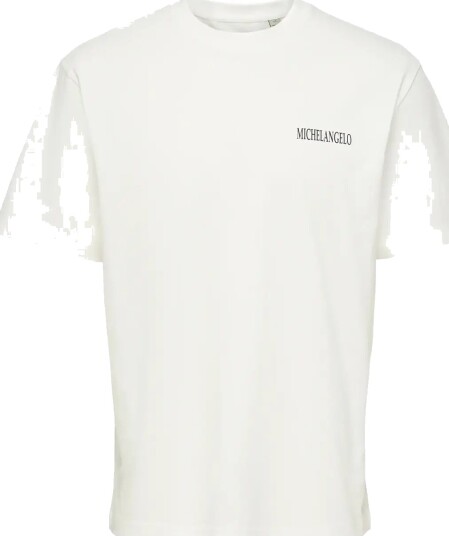 ONLY & SONS Onsmichelangiolo Life Rlx Ss Lic Tee White S