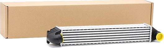 Intercooler RIDEX 468I0029 Intercooler RIDEX 468I0029