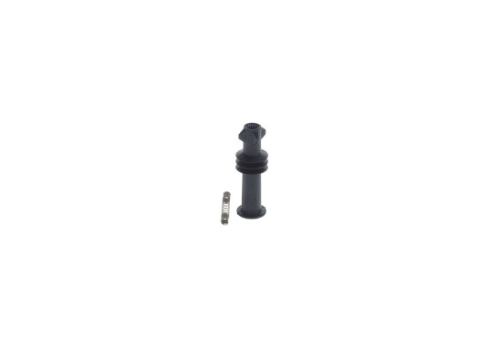 Tennspole coil BOSCH 1 281 005 863