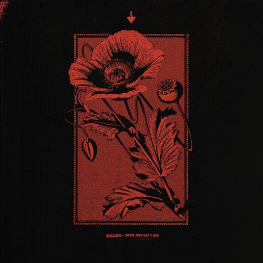 Kollaps Until The Day I Die CD