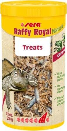 Sera Raffy Royal Sera Raffy Royal