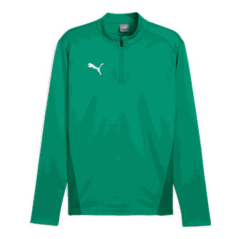 Puma teamGOAL Training 1/4 Zip Top, treningsgenser, herre Green XS