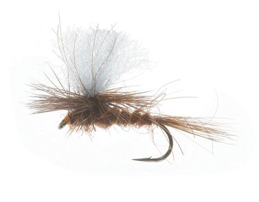 Unique Flies Parashute Dun Dark Brown #14