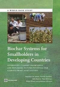 Scholz Sebastian Biochar Systems for Smallholders in Developing Countries