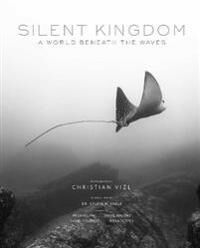 Silent Kingdom Av Christian Vizl
