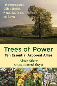 Trees Of Power Av Akiva Silver Trees Of Power Av Akiva Silver
