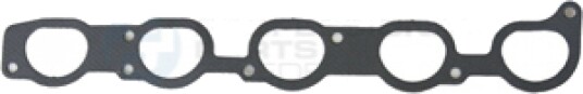 Tetning innsugningsmanifold Professional Parts 21438534