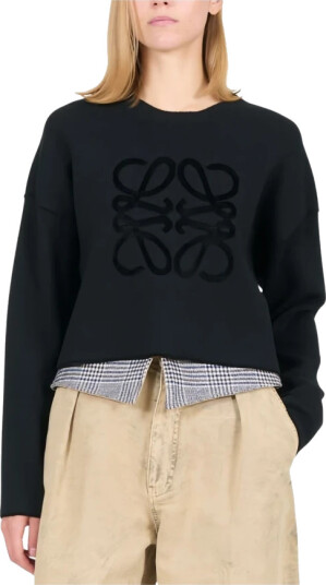 Loewe Dame Gensere & Hettegensere Svart S,