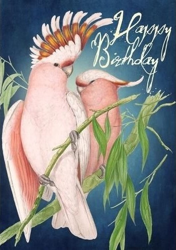 B6 Kort Med Konvolutt Birthday Nymphs B6 Kort Med Konvolutt Birthday Nymphs