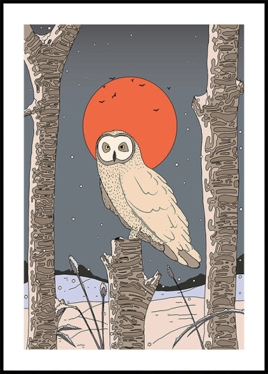 Vintage Owl Plakat Plakat / 50x70cm