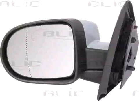 BLIC 5402-09-2002119P Sidespeil