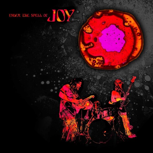 Joy Under The Spell Of Joy LP/Vinyl