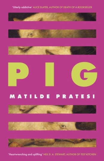 Pig Pig