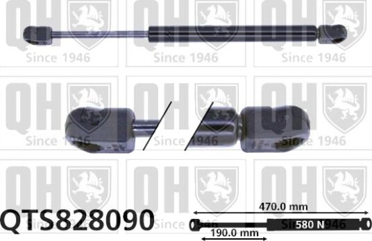 QUINTON HAZELL QTS828090 Baklukedemper