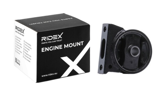 Motorfeste RIDEX 247E0463