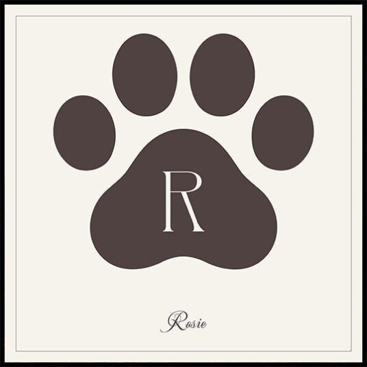 Cat"s name Personal Plakat Plakat / 50x50cm Cat"s name Personal Plakat Plakat / 50x50cm