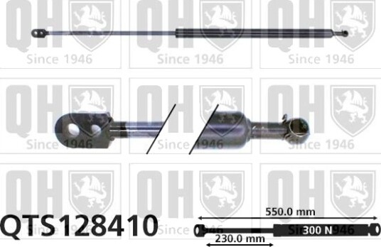 QUINTON HAZELL QTS128410 Baklukedemper