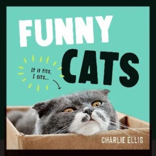 Funny Cats Av Charlie Ellis